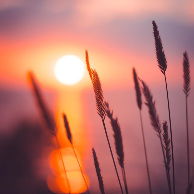 Protected areas overview